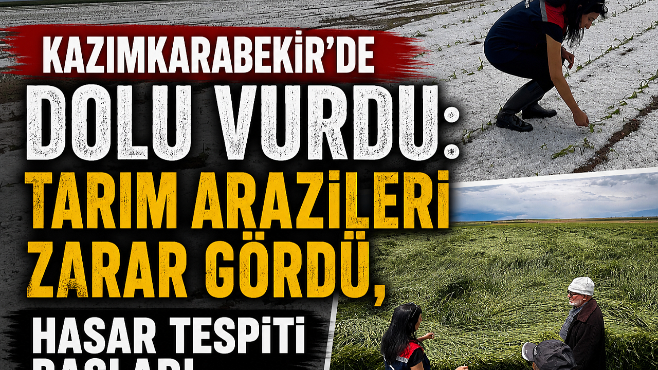 Kazımkarabekir’de Dolu Vurdu: Tarım Arazileri Zarar Gördü, Hasar Tespiti Başladı