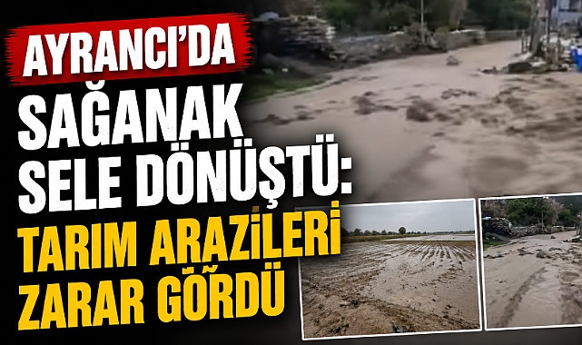 Ayrancı’da Sağanak Sele Dönüştü: Tarım Arazileri Zarar Gördü