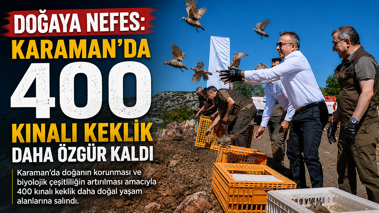 Doğaya Nefes: Karaman’da 400 Kınalı Keklik Daha Özgür Kaldı