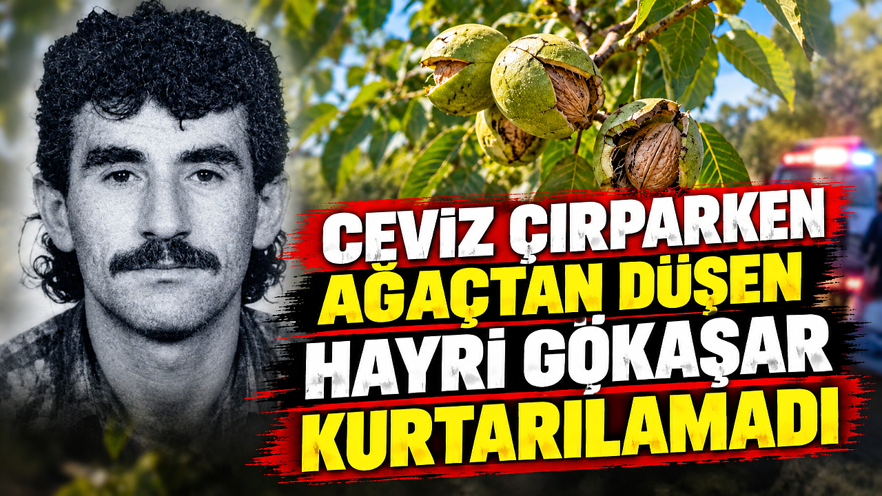 Ceviz Çırparken Ağaçtan Düşen Hayri Gökaşar Kurtarılamadı