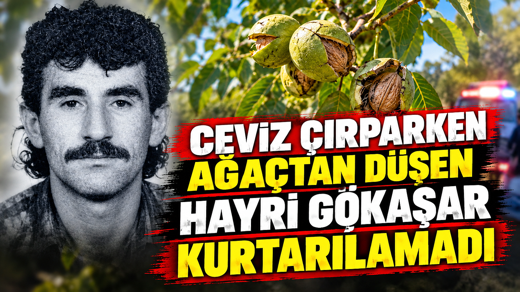 Ceviz Çırparken Ağaçtan Düşen Hayri Gökaşar Kurtarılamadı