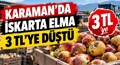 Karaman’da ıskarta elma 3 TL’ye düştü