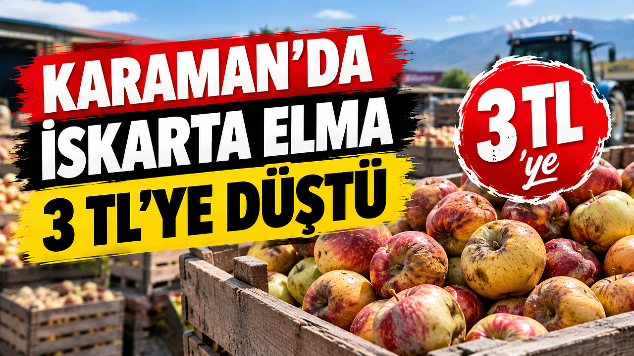 Karaman’da ıskarta elma 3 TL’ye düştü