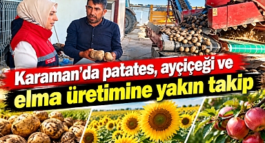 Karaman’da patates, ayçiçeği ve elma üretimine yakın takip