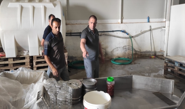 Ulaş Kaymakamı Baş, Avrupa'ya pezik turşusu ihraç eden fabrikayı gezdi