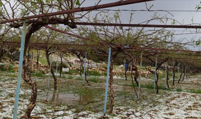Mersin'de dolu tarım alanlarına zarar verdi
