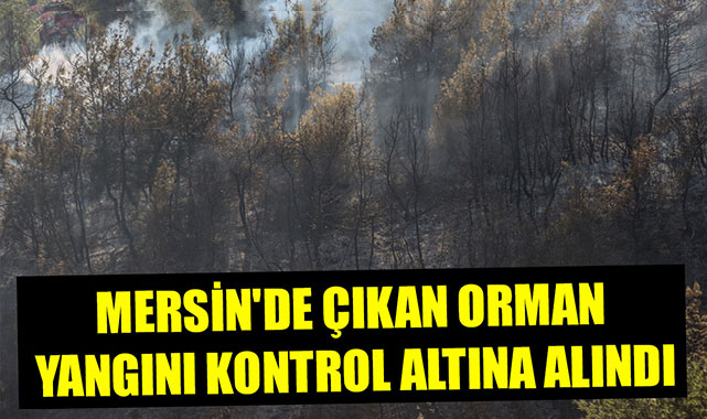 MERSİN'DE ÇIKAN ORMAN YANGINI KONTROL ALTINA ALINDI
