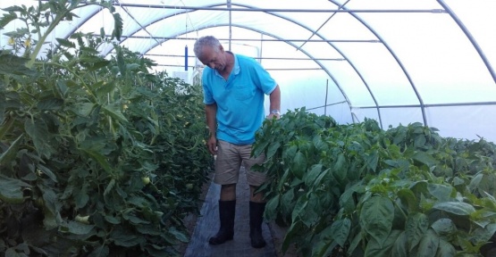 TİKA’nın tarım projeleri Karadağ’da çiftçilerin yüzünü güldürdü