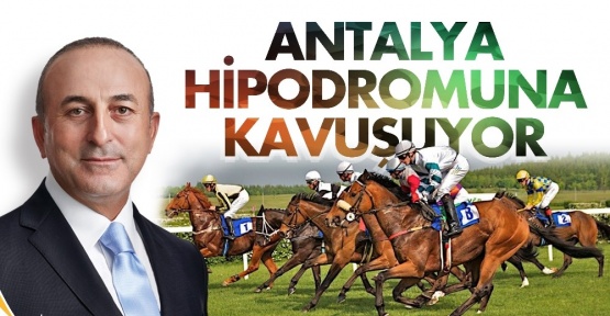 Müjdeyi Dışişleri Bakanı Çavuşoğlu verdi