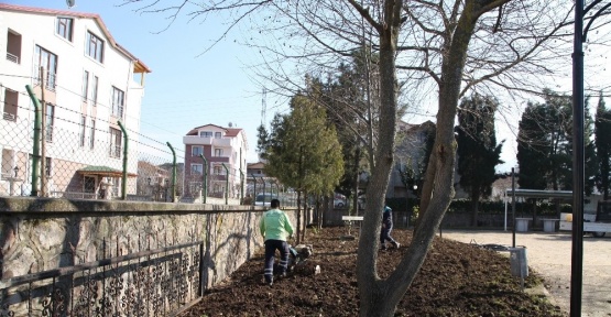 Başiskele’de camilere peyzaj çalışması