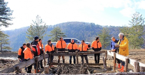 Sertifikalı ormanlar denetlendi