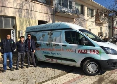 Adadaki sokak hayvanları kısırlaştırılıyor