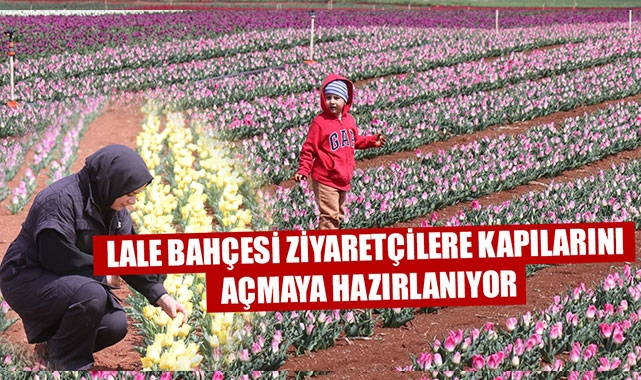 LALE BAHÇESİ ZİYARETÇİLERE KAPILARINI AÇMAYA HAZIRLANIYOR