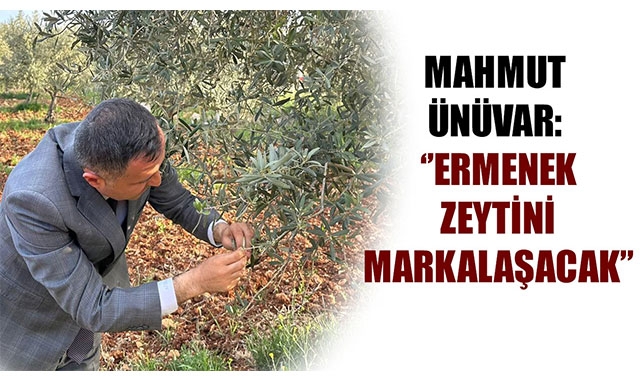 MAHMUT ÜNÜVAR: ‘’ERMENEK ZEYTİNİ MARKALAŞACAK’’
