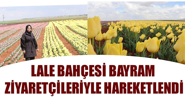 LALE BAHÇESİ BAYRAM ZİYARETÇİLERİYLE HAREKETLENDİ