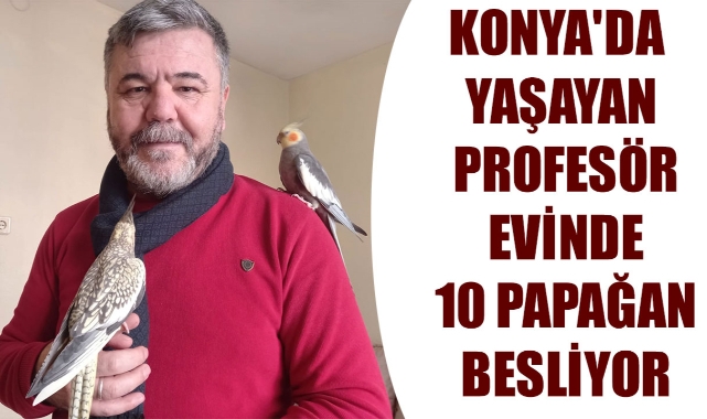 KONYA'DA YAŞAYAN PROFESÖR EVİNDE 10 PAPAĞAN BESLİYOR