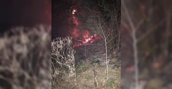 Orman yangını büyümeden söndürüldü