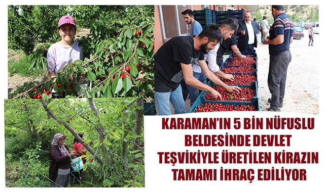 KARAMAN'IN 5 BİN NÜFUSLU BELDESİNDE DEVLET TEŞVİKİYLE ÜRETİLEN KİRAZIN TAMAMI İHRAÇ EDİLİYOR