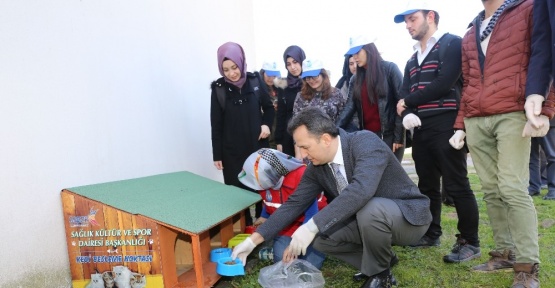 Kedi ve köpekler için GTÜ kampüsüne besleme noktaları kuruldu