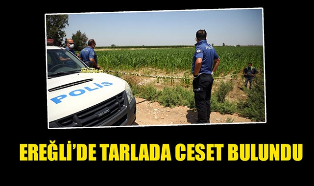 EREĞLİ’DE TARLADA CESET BULUNDU