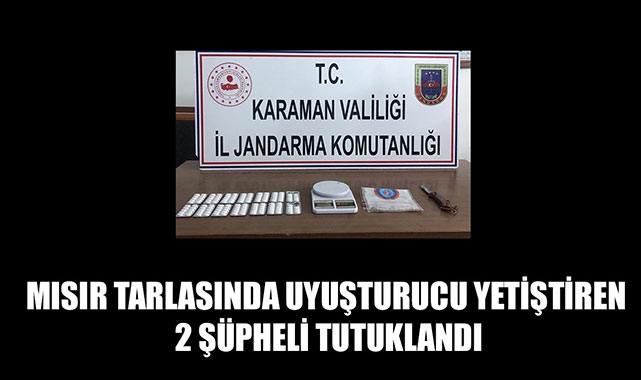 MISIR TARLASINDA UYUŞTURUCU YETİŞTİREN 2 ŞÜPHELİ TUTUKLANDI