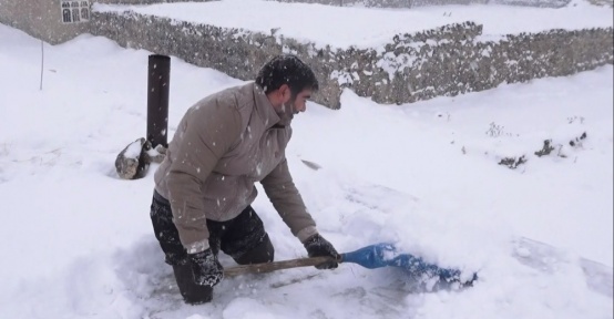 Kimsesiz engellinin karla mücadelesi