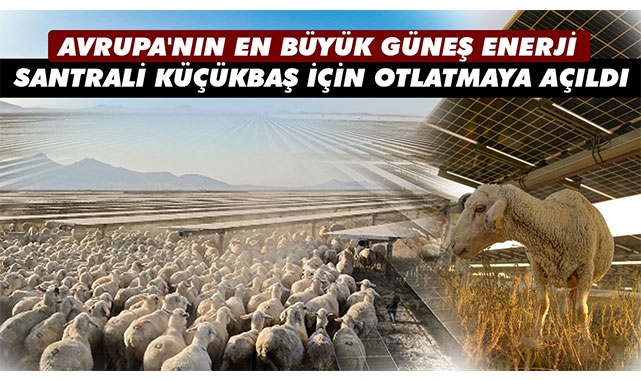 AVRUPA'NIN EN BÜYÜK GÜNEŞ ENERJİ SANTRALİ KÜÇÜKBAŞ İÇİN OTLATMAYA AÇILDI