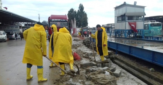Büyükşehir Belediyesi, Hal Kompleksi’nde çalışmalarını sürdürüyor