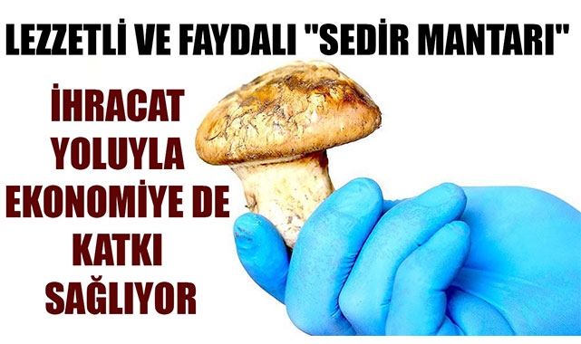 LEZZETLİ VE FAYDALI