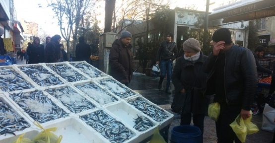 Siirt’te hamsi 25 TL’ye yükseldi