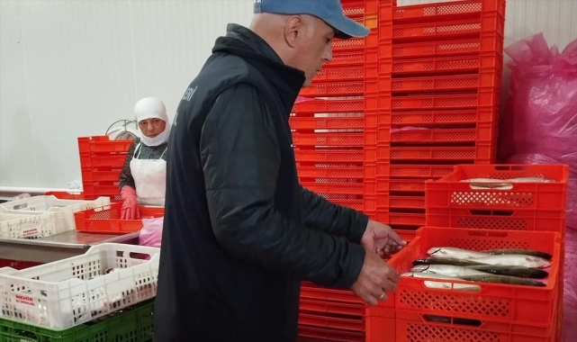 Beyşehir'de su ürünlerine yönelik denetimler sürüyor