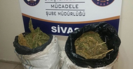 Sivas’ta 44 kilogram esrar ele geçirildi