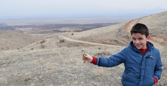 Malatya’nın Akçadağ ilçesinde