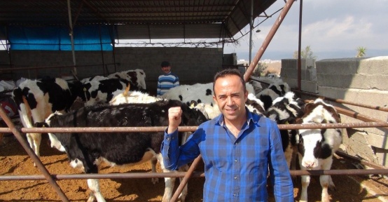 400 bin lira değerindeki 30 ineğini dolandırıcılara kaptırdı