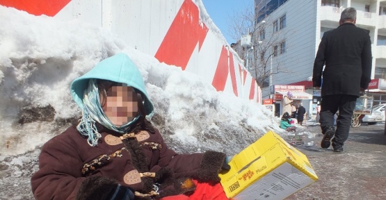 Eksi 15 derecede dilenen minikler