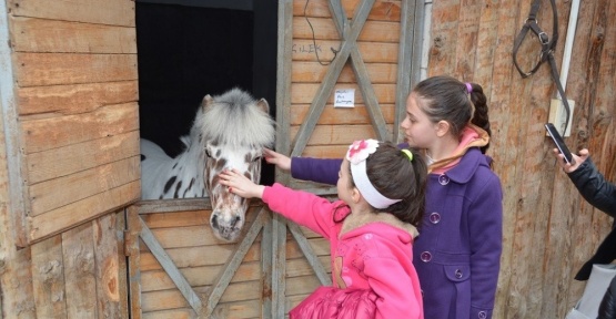 Süleymanpaşa Belediyesi Çocuk Kulübü’nden üyelerine binicilik eğitimi