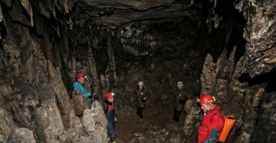 Defineciler bilim adamlarından hızlı çıktı.