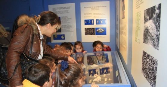 Kartal Belediyesi kreş öğrencileri Deniz Kabukları Müzesi’ni gezdi