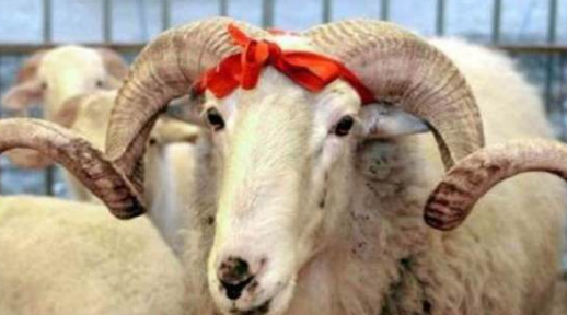 Kurban Bayramı Güzel Sözler, Kısa Mesajlar