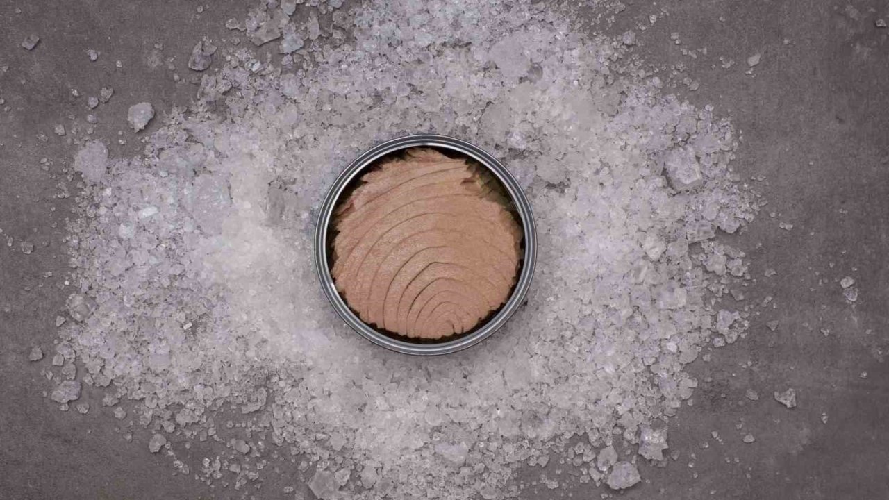 ’’ton Balığının Konservesi De Sağlıklı’’