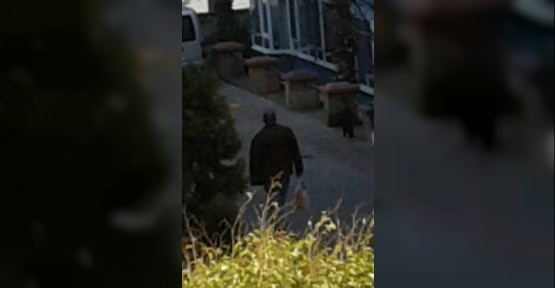 Kedi ölümleriyle ilgili bir kişi gözaltına alındı