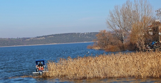 Gölyazı sazlıklardan temizleniyor