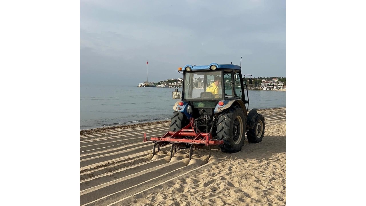 Didim Sahilleri Yaza Hazırlanıyor