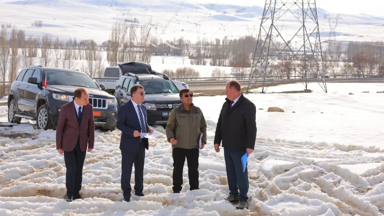 Bayburt'ta Sahipsiz Sokak Hayvanları İçin Çalışma Başlatıldı