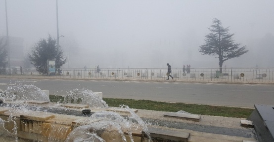 Düzce sis etkili oluyor