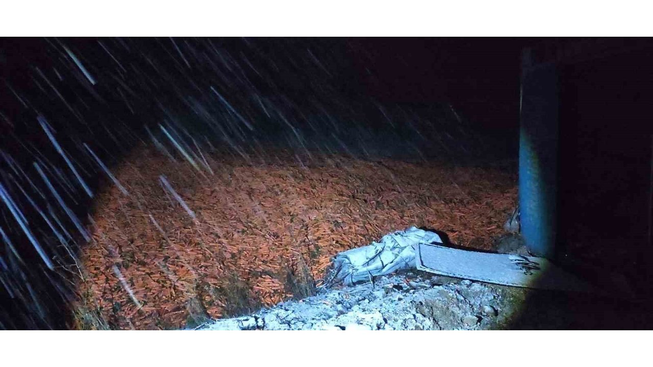 Kar Yağışı Nedeniyle Kayganlaşan Yolda Kontrolden Çıkan Kamyon Devrildi: 1 Yaralı