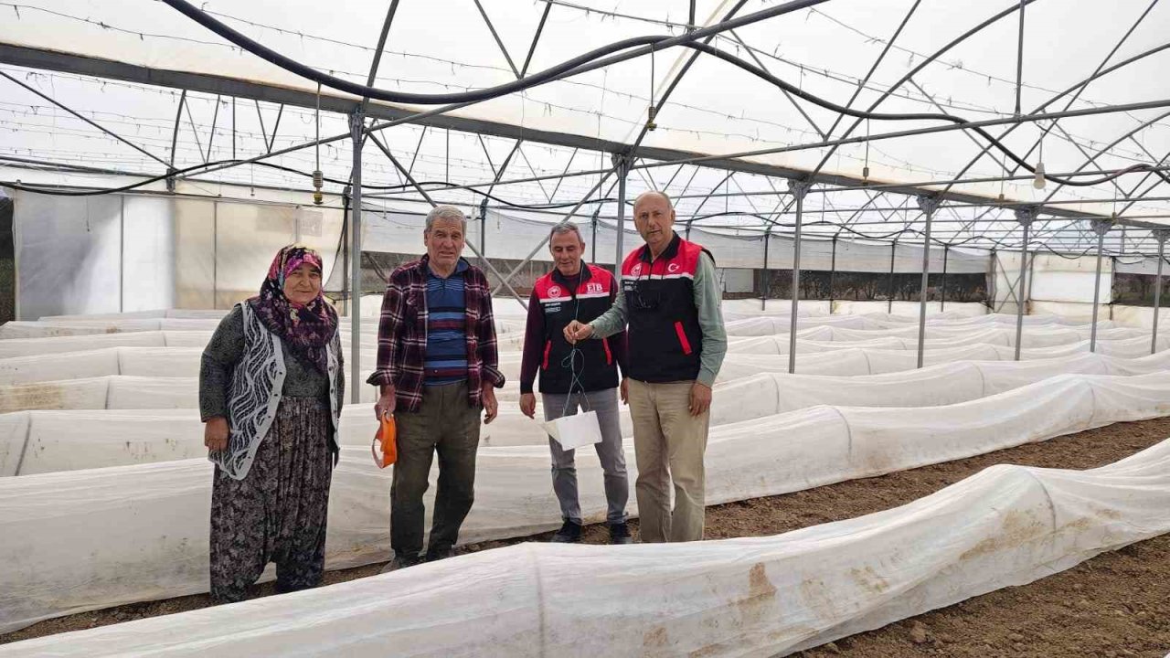 Eskişehir’de Domates Seralarında Zararlı Takibi Başladı