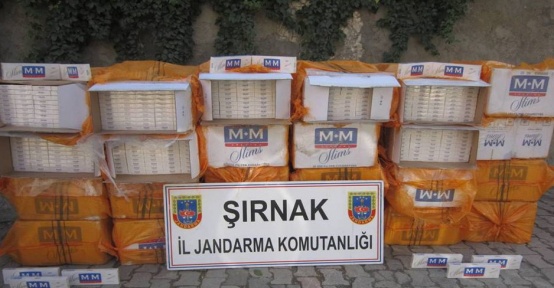 Şırnak’ta kaçağa 6 milyon 417 bin TL’lik darbe