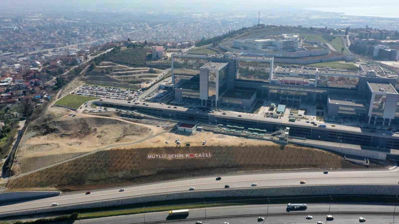 Şehir Hastanesi Bağlantı Yoluna 200 Himalaya Sediri Dikildi