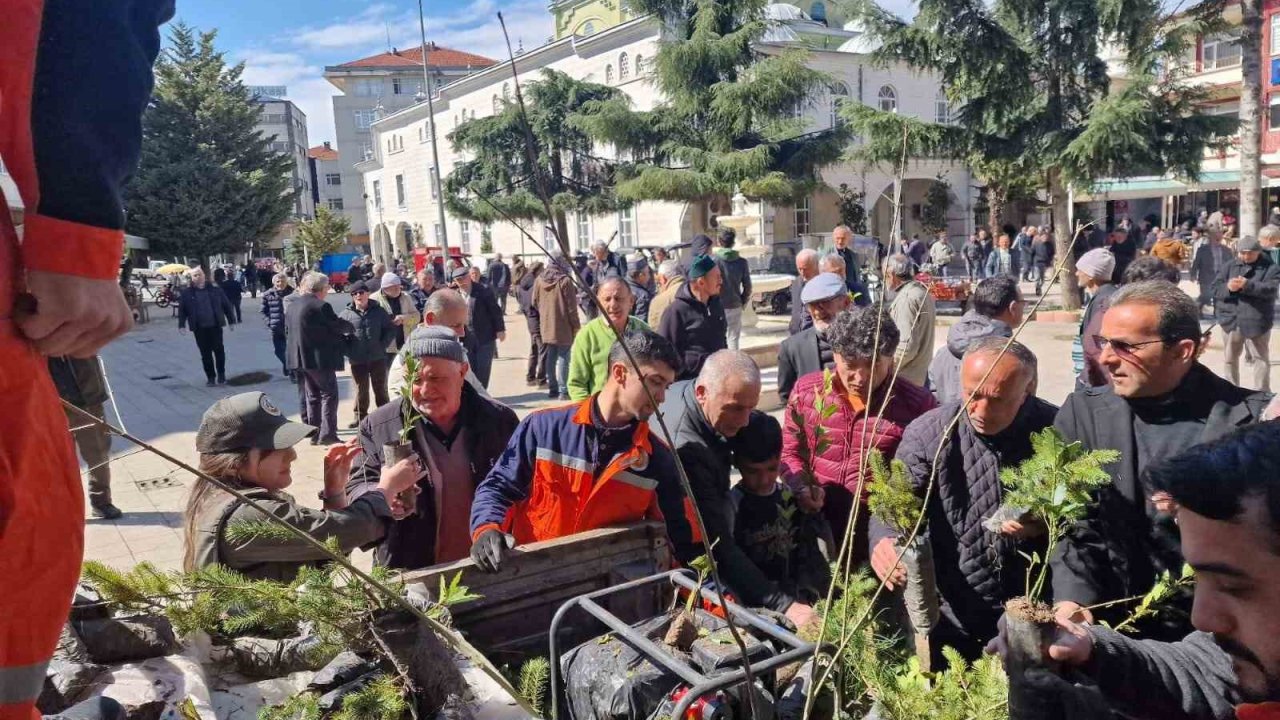 Kocaali’de Vatandaşlara Ücretsiz Meyve Fidanı Dağıtıldı